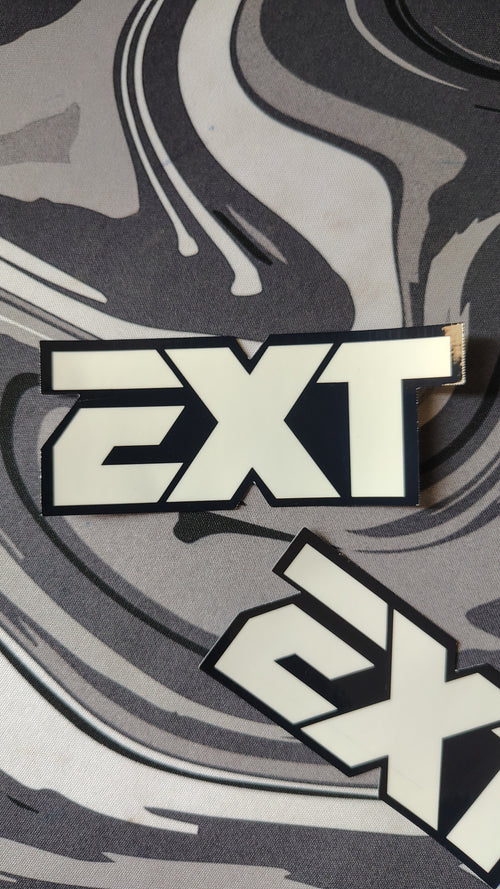 PRE ORDER (End of August) EXT Fork Stickers (x2 pieces)